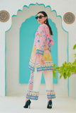 Elegant Pink and White Dress 2 piece Set Y-21